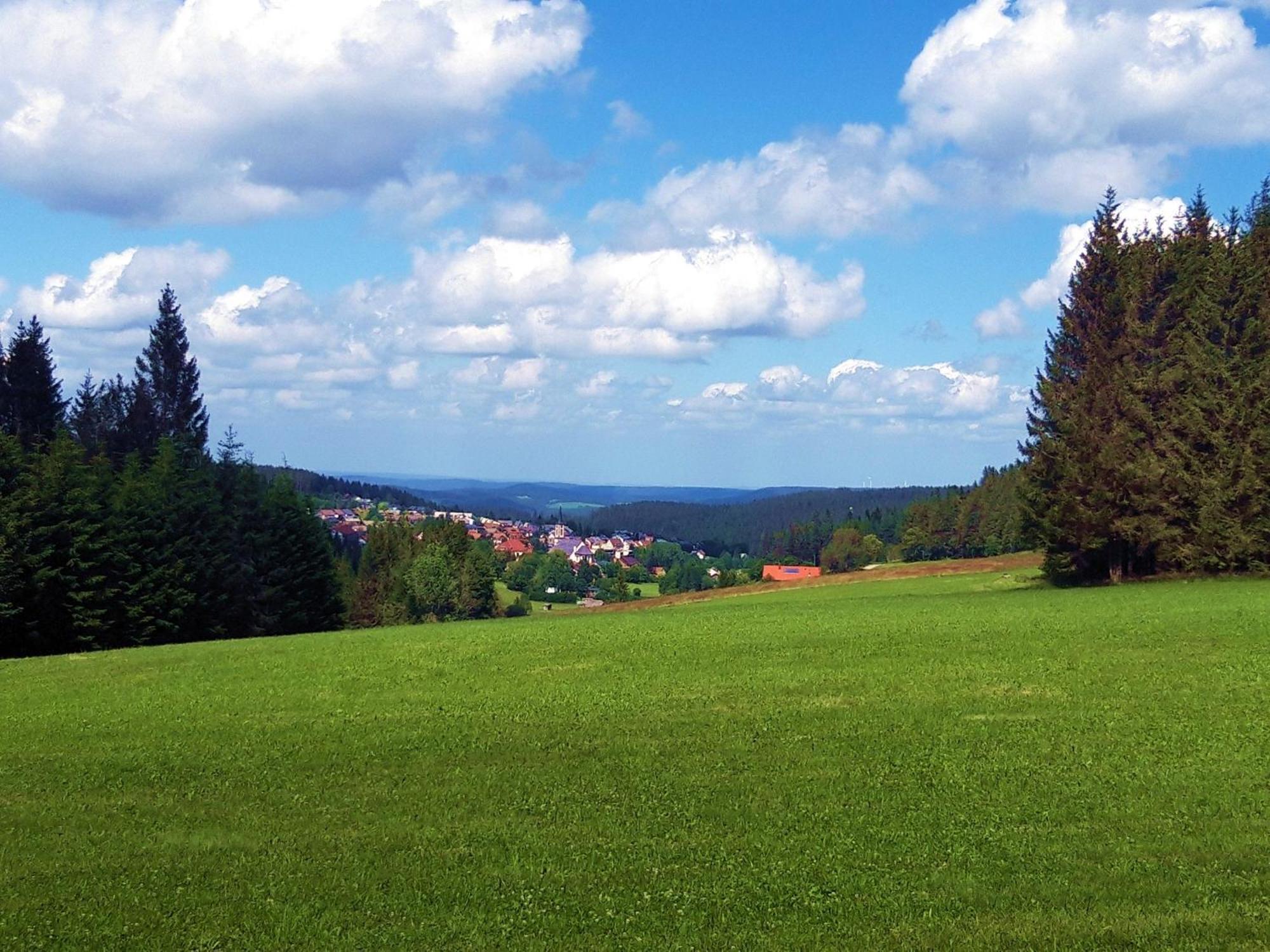 471 * Schönwalde